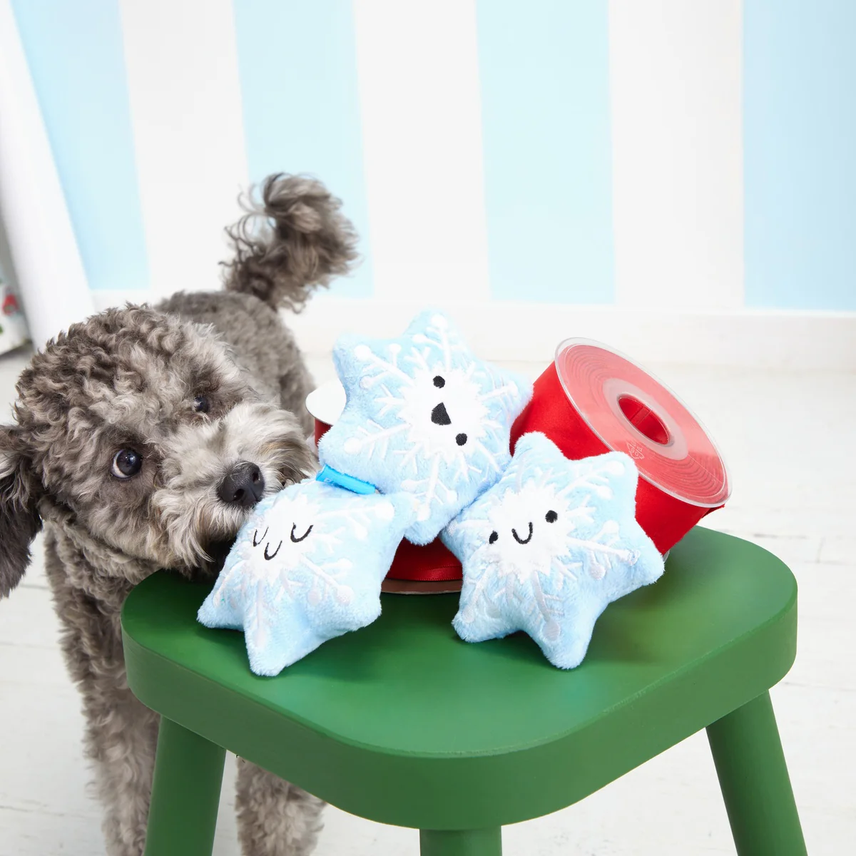Crystal, Krystle & Cristal Plush Multi-Part Dog Toy - Image 3