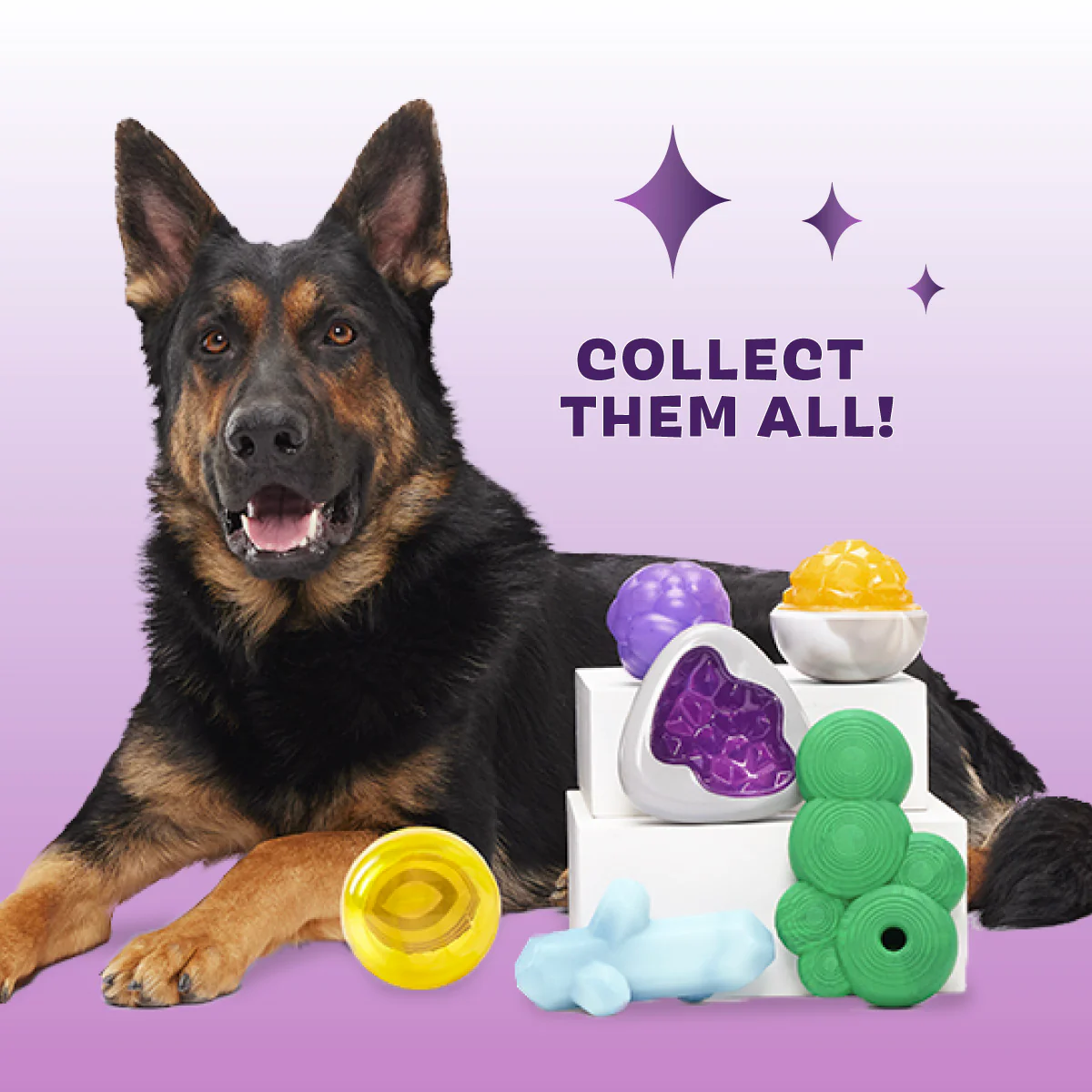 Crystal of the Month Club, Super Chewer Durable Monthly Dog Toys - Image 5