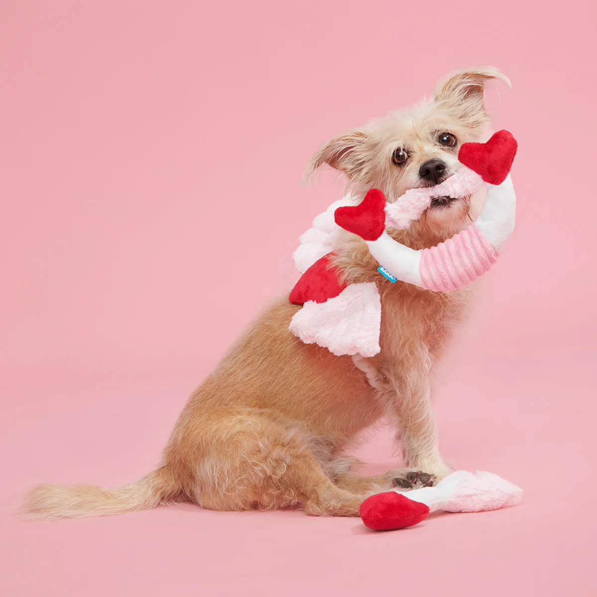Cupid Bundle Plush Wearable Dog Toy - Image 2