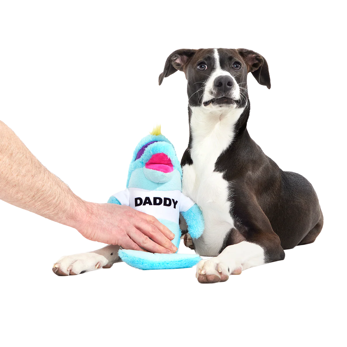 Daddy Dolphin Plush Tug Dog Toy - Image 2