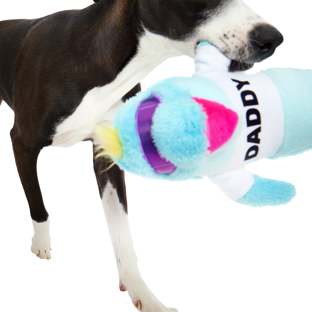 Daddy Dolphin Plush Tug Dog Toy - Image 3