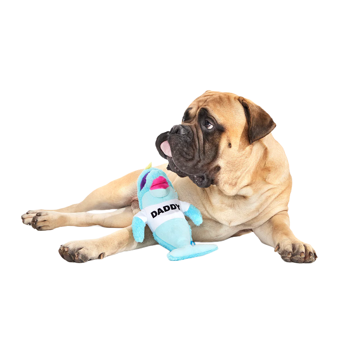 Daddy Dolphin Plush Tug Dog Toy - Image 4