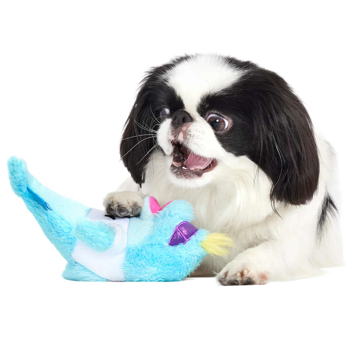 Daddy Dolphin Plush Tug Dog Toy - Image 5