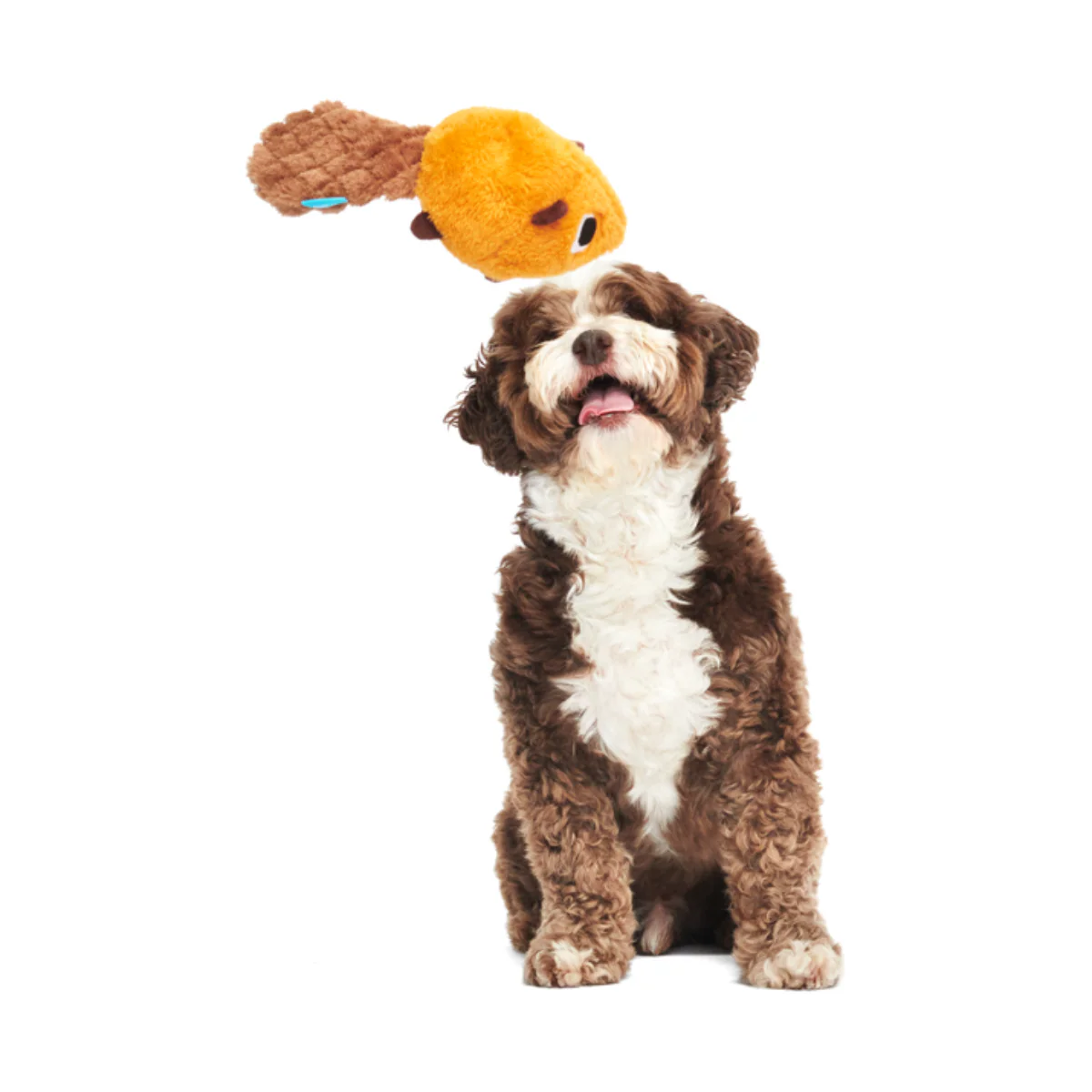 Dam Daniel Plush Tug Dog Toy - Image 3