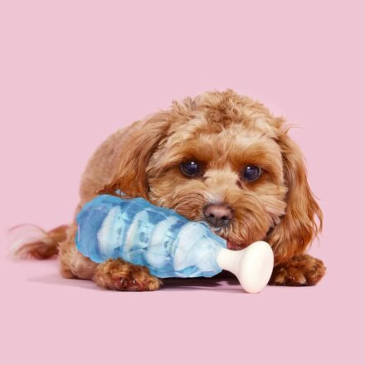 Dandy Blue Rock Candy  Super Chewer Durable Gnaw Dog Toy - Image 3