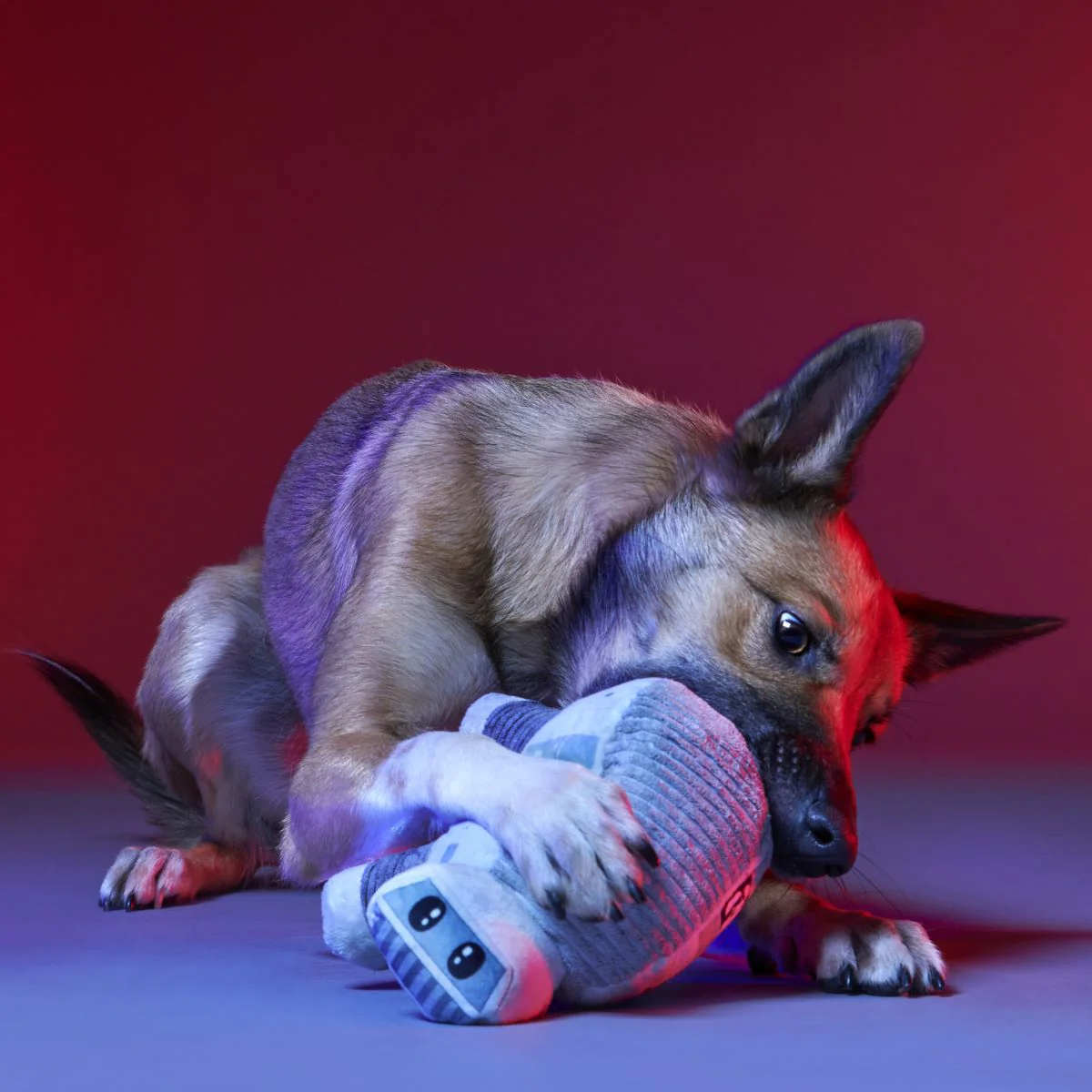 Dark Side Star Wars™ Plush Bundle Tug + Multi-Part Dog Toy - Image 3
