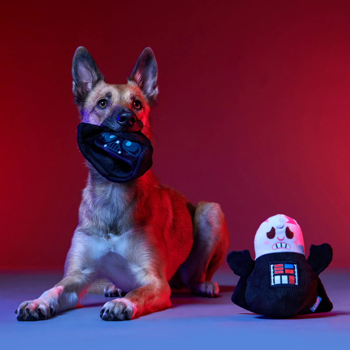 Obey Your Master Plush Multi-Part Dog Toy - Image 3