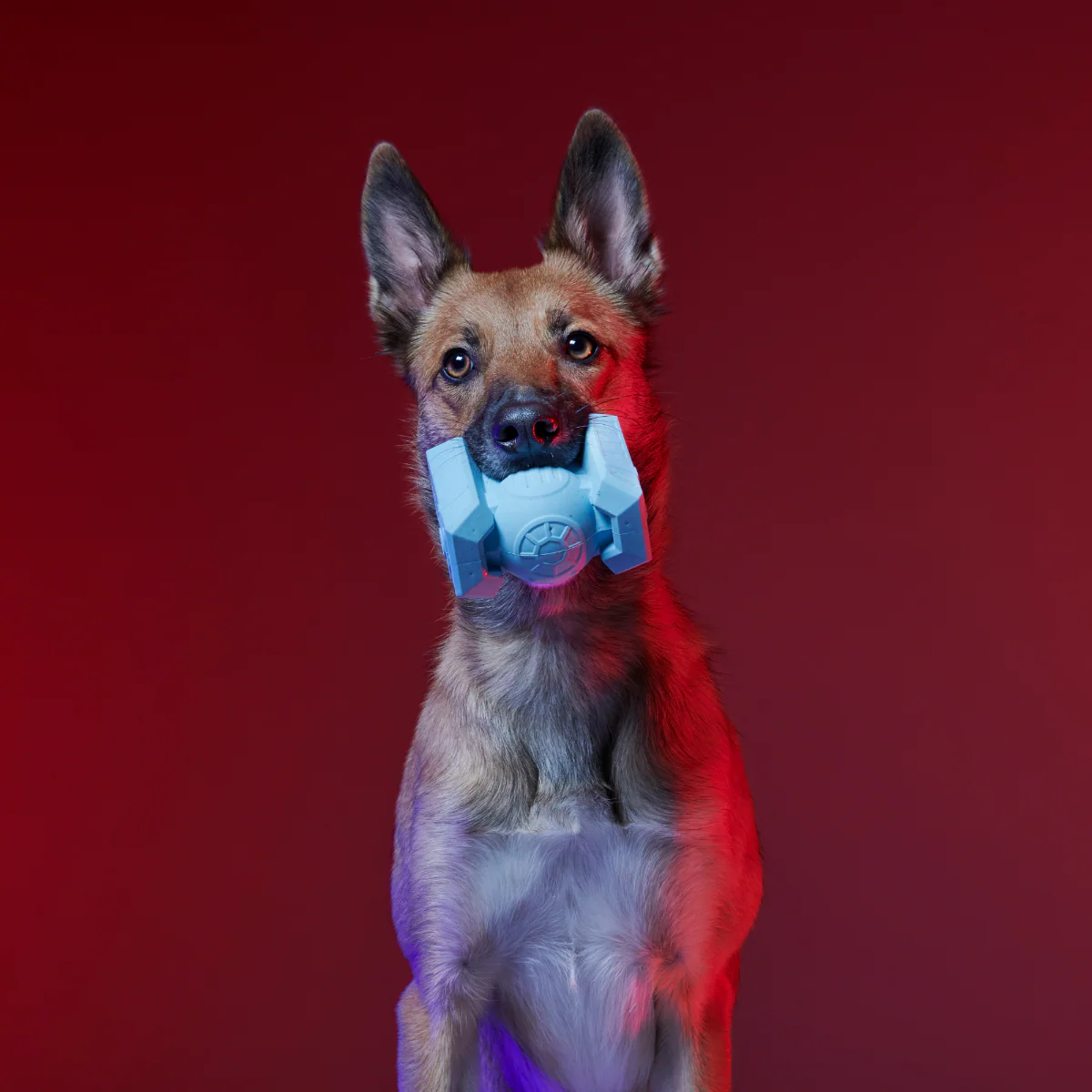Dark Side Star Wars™ Super Chewer Durable Bundle 2-in-1 + Fetch Dog Toy - Image 4