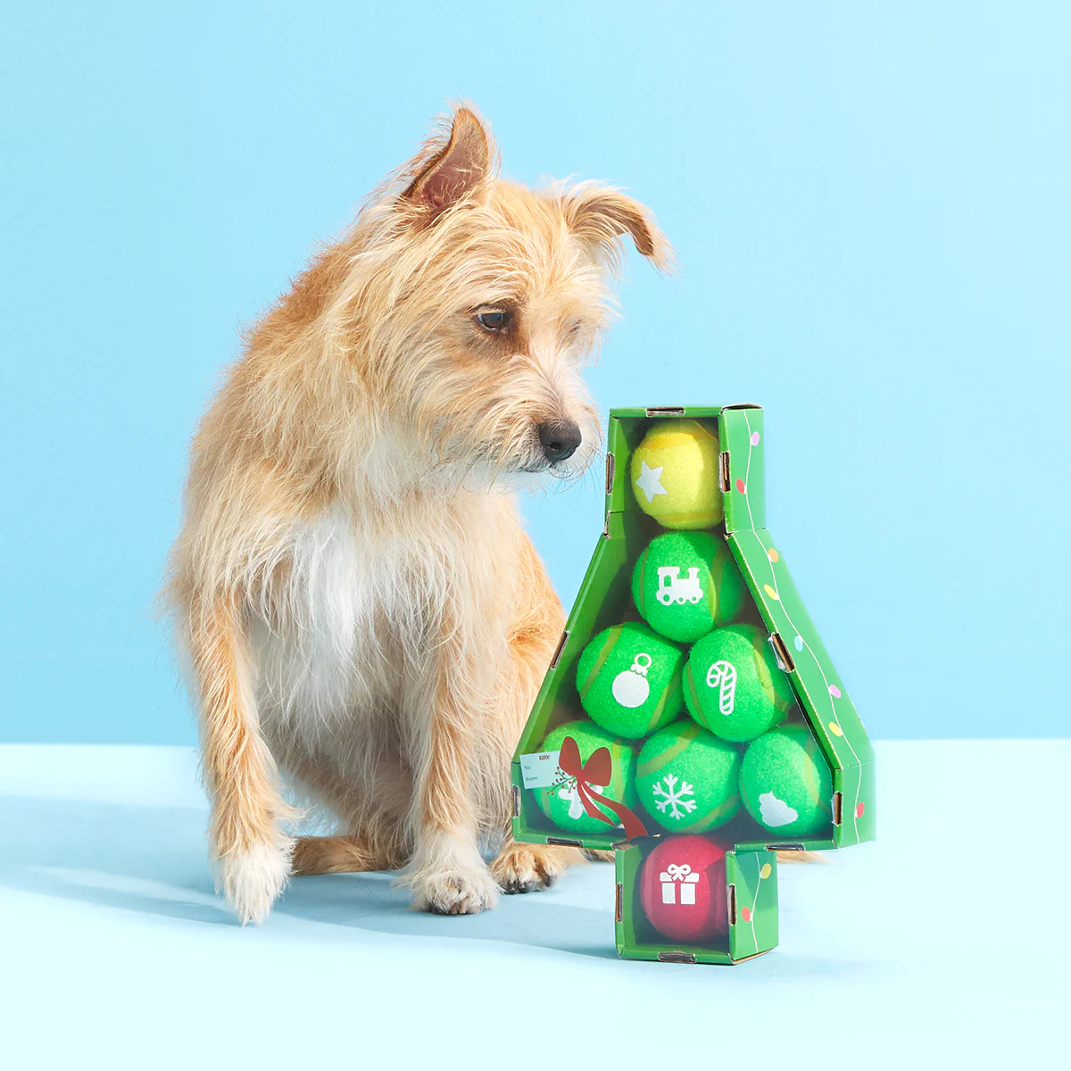 Deck The Balls Plush 8 Squeaky Tennis Balls Fetch Dog Toy - Image 2