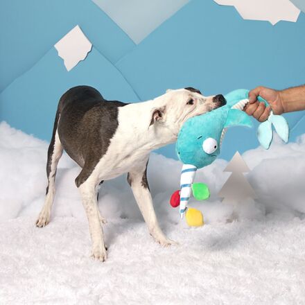 Deck the Narwhal Plush XXL Dog Toy - Image 5