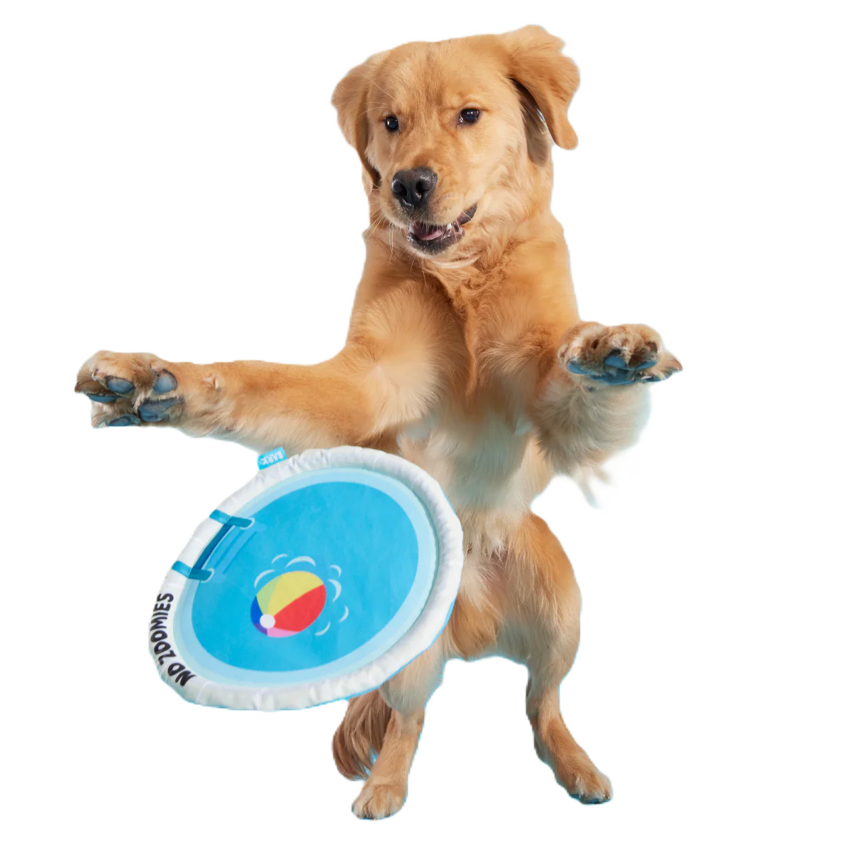 Deep End Disc Plush Fetch Dog Toy - Image 2