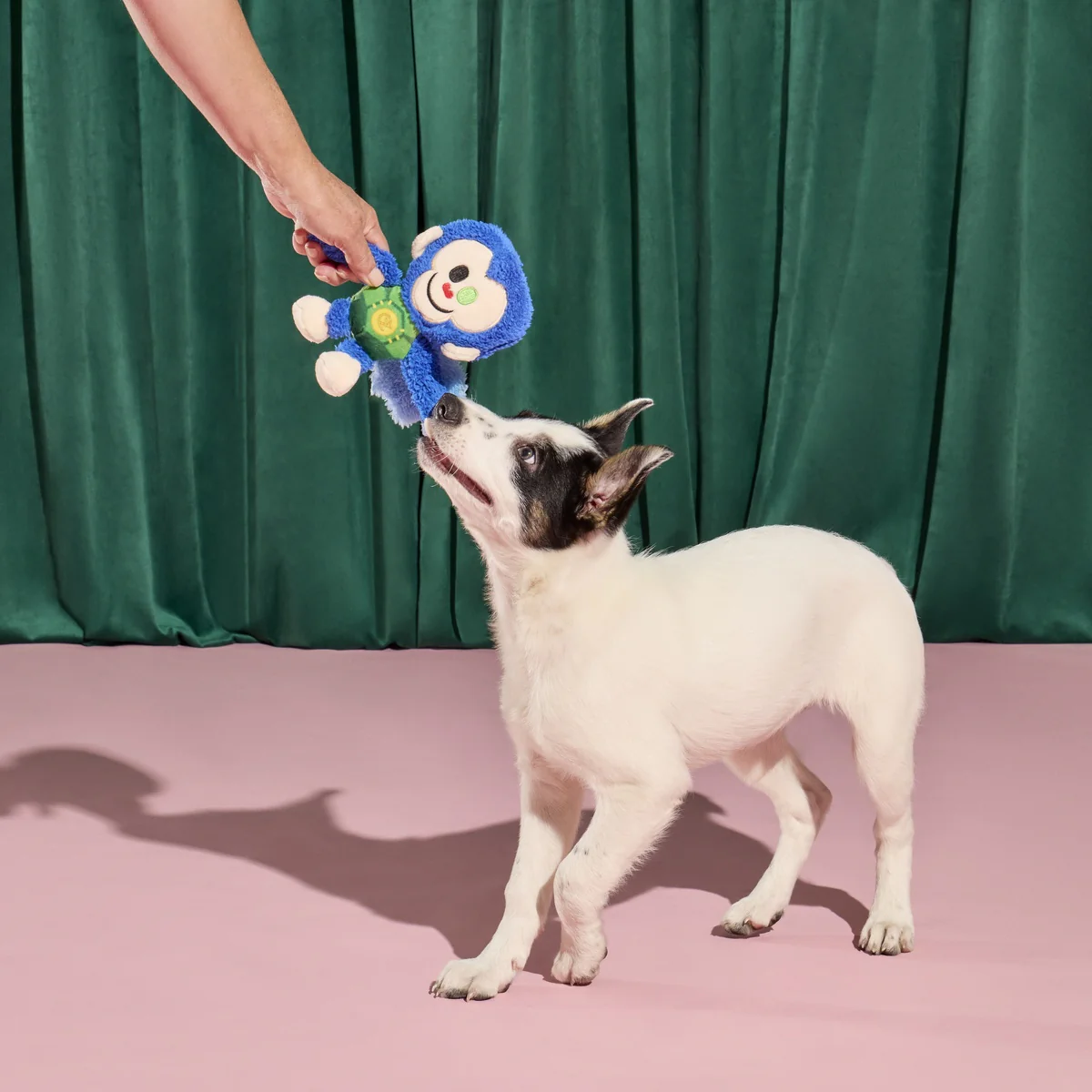 Defying Gravity Chistery Plush Tug Dog Toy - Image 7