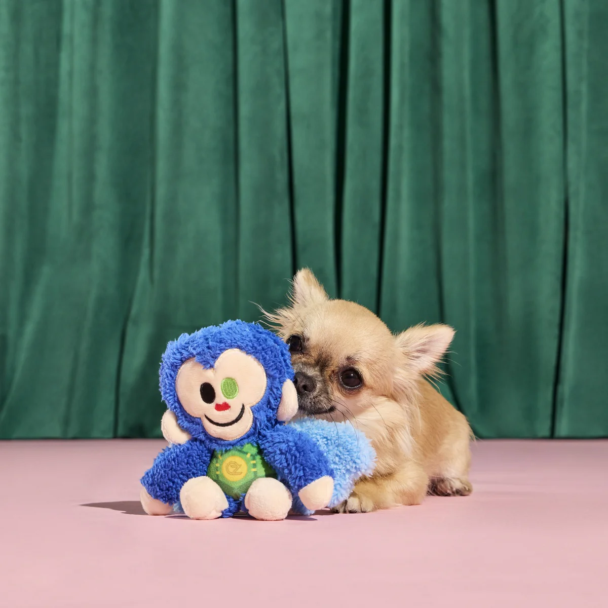 Defying Gravity Chistery Plush Tug Dog Toy - Image 9