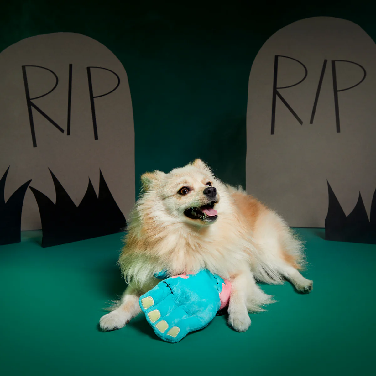 Die Five Plush Tug Dog Toy - Image 3