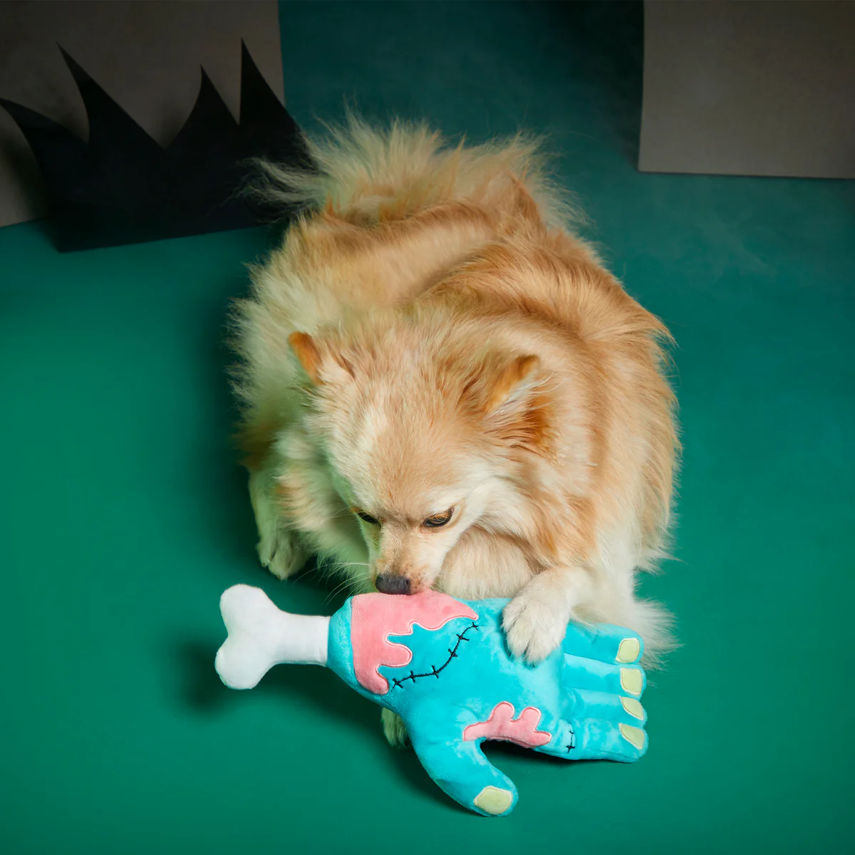 Die Five Plush Tug Dog Toy - Image 4