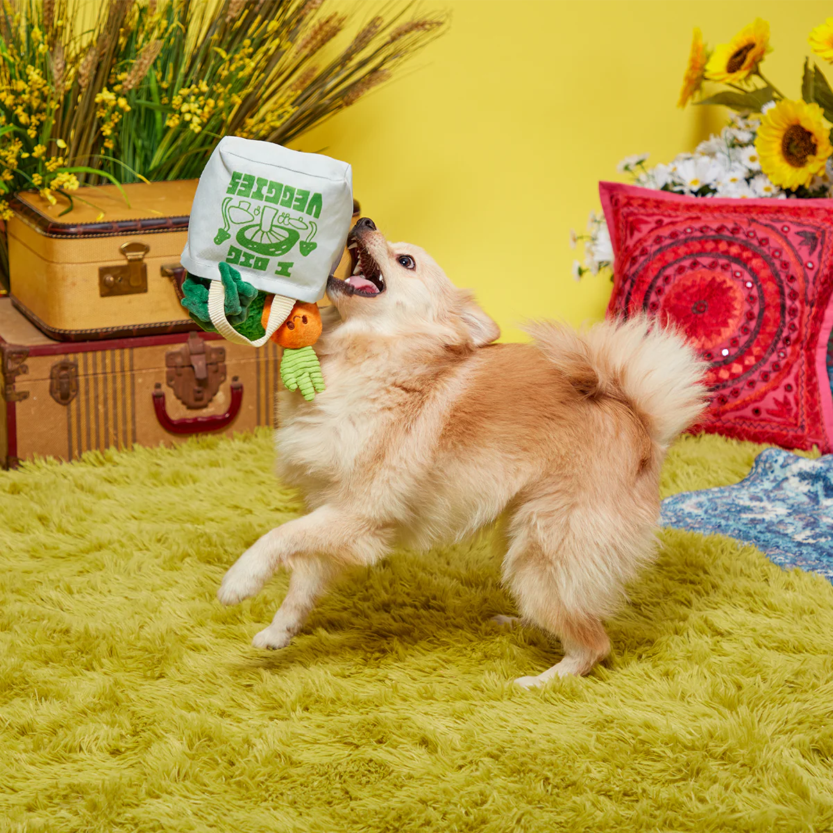 Dig These Veggies Plush Tug + Enrichment Dog Toy - Image 3