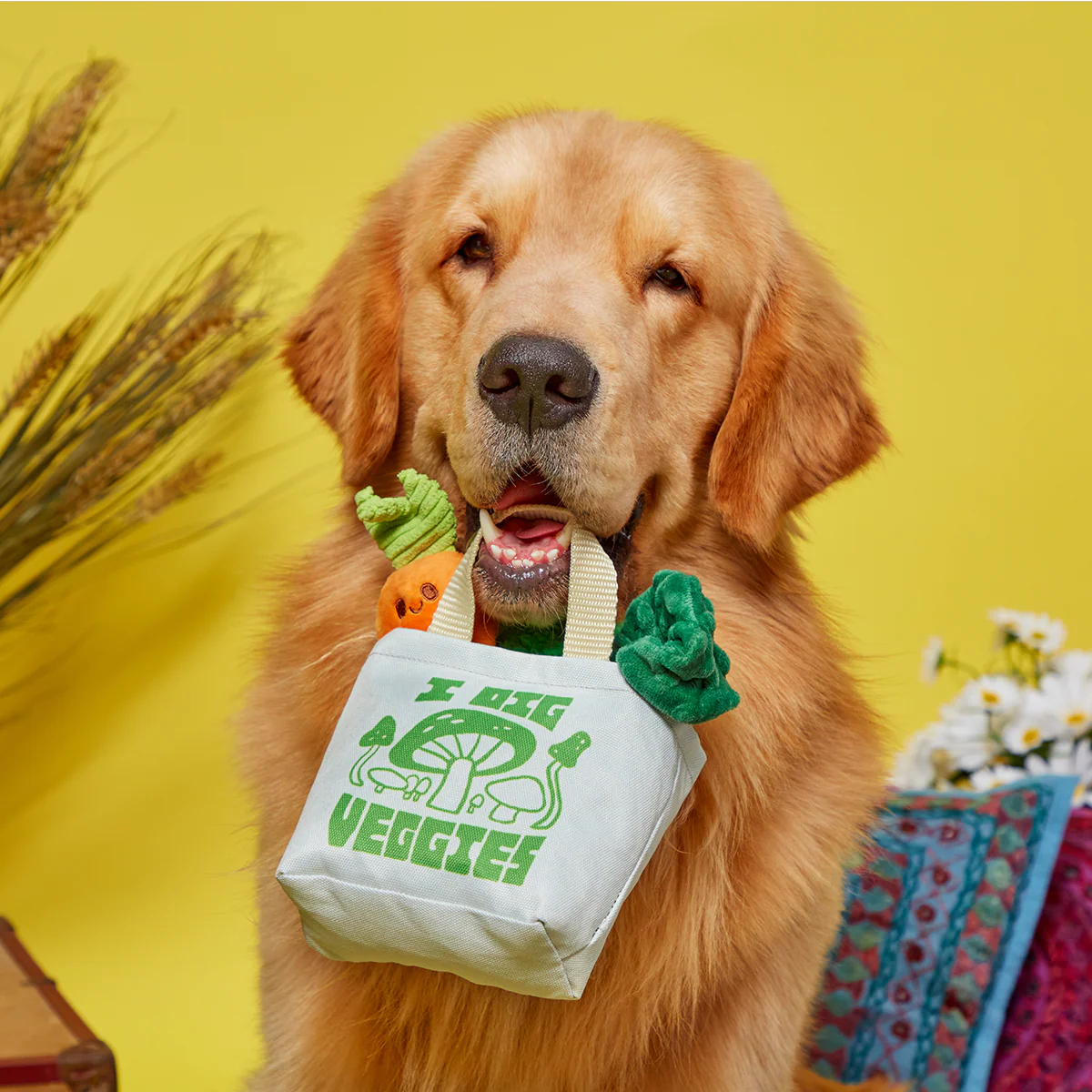 Dig These Veggies Plush Tug + Enrichment Dog Toy - Image 4
