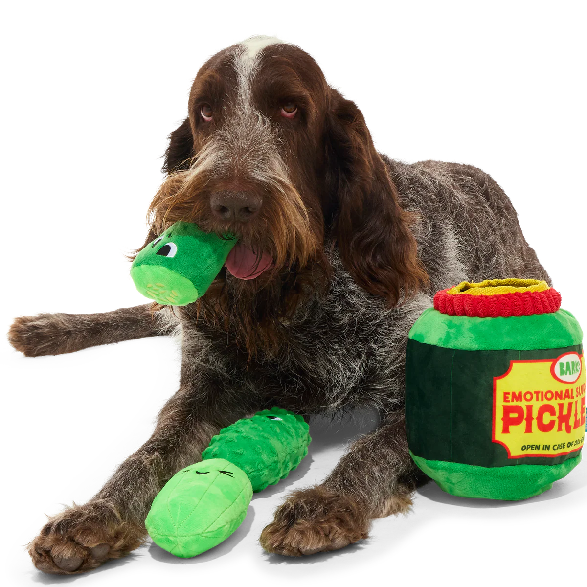 Dill-emma Squad Pickle Plush Multi-Part + Extra-Large Dog Toy - Image 3