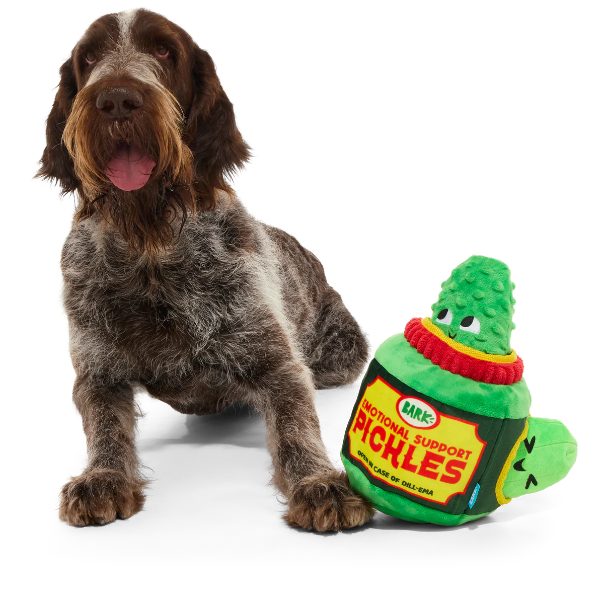 Dill-emma Squad Pickle Plush Multi-Part + Extra-Large Dog Toy - Image 6