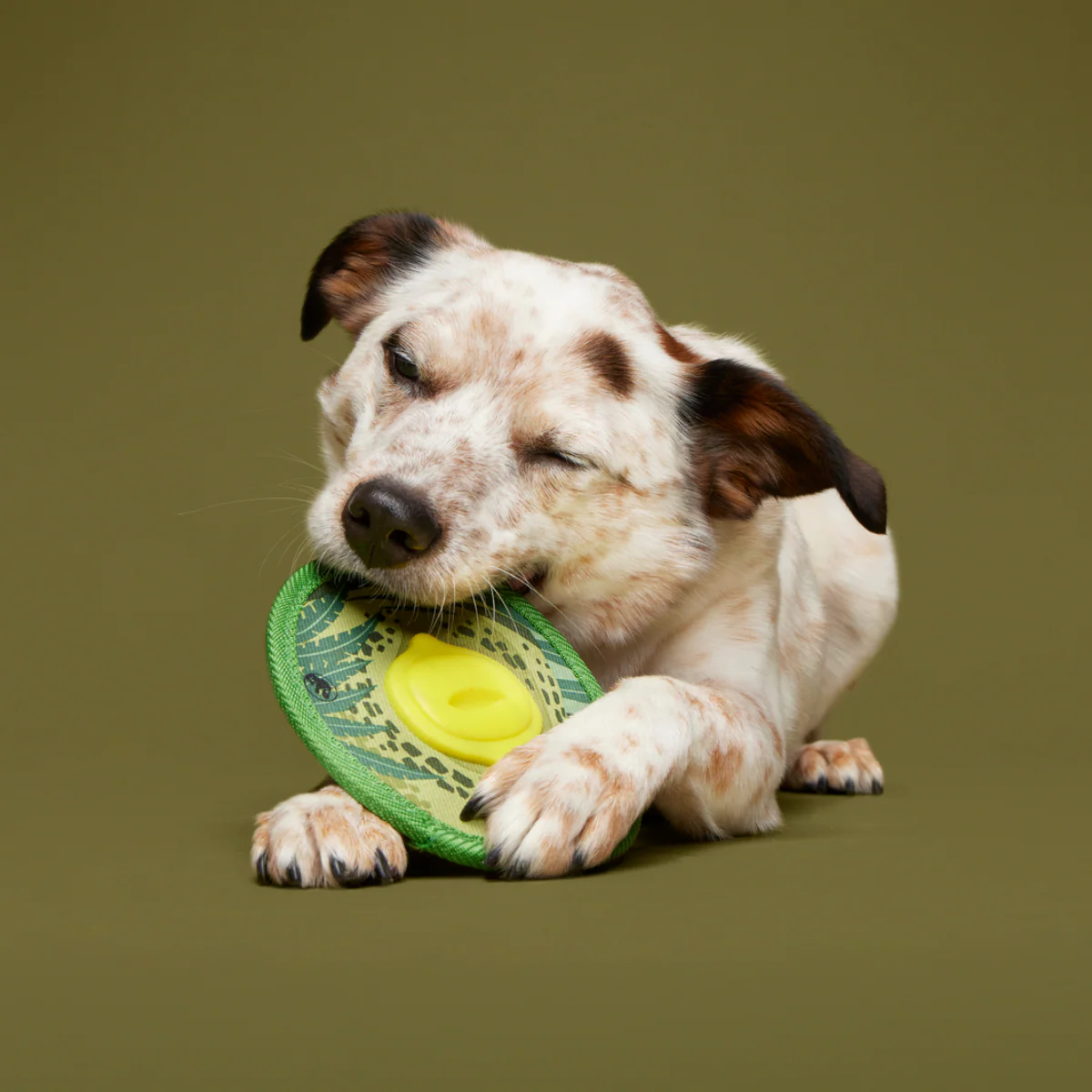 Dino Fling Ring Durable Super Chewer Fetch Dog Toy - Image 2