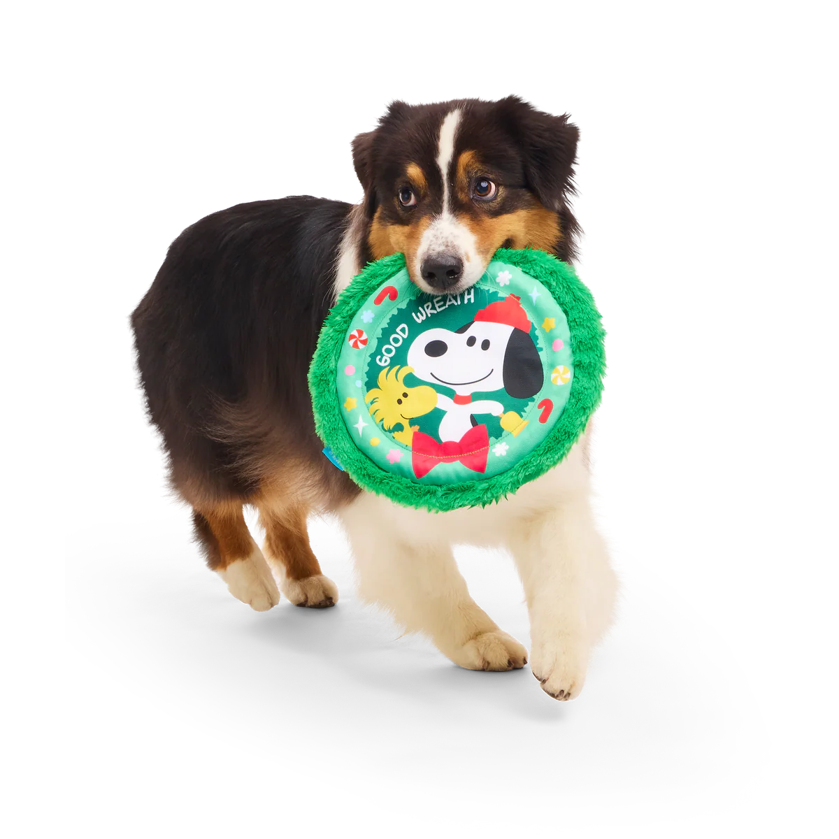 Disc The Halls Plush Fetch Dog Toy - Image 2