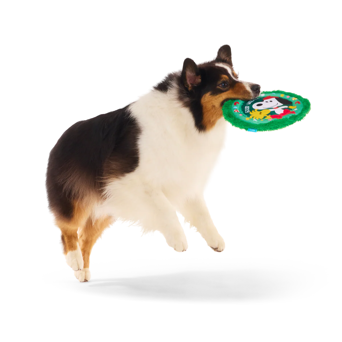 Disc The Halls Plush Fetch Dog Toy - Image 3