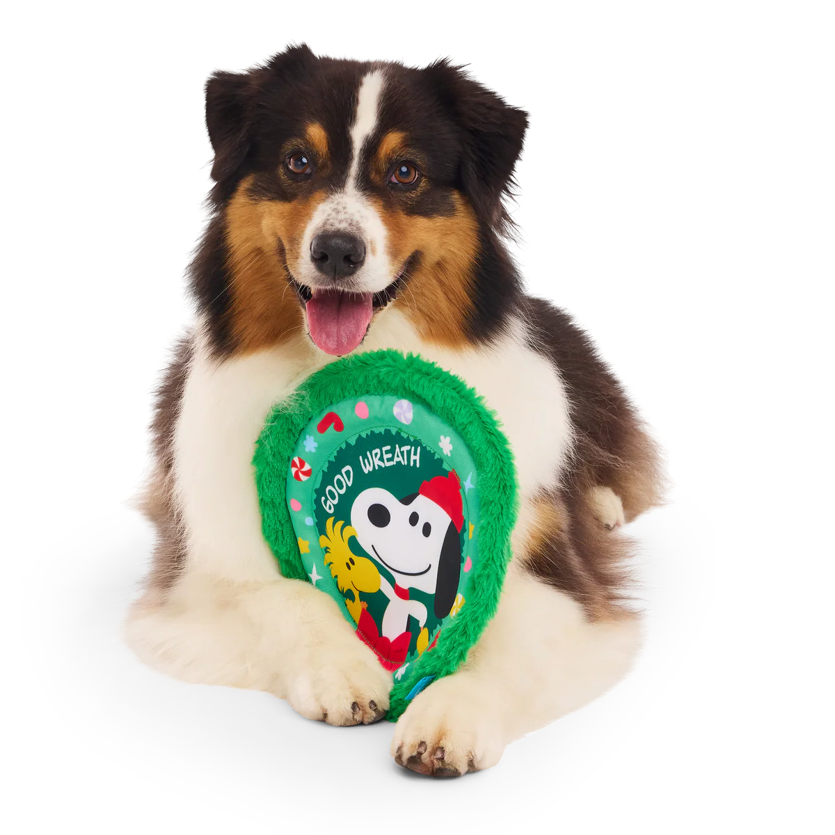 Disc The Halls Plush Fetch Dog Toy - Image 4