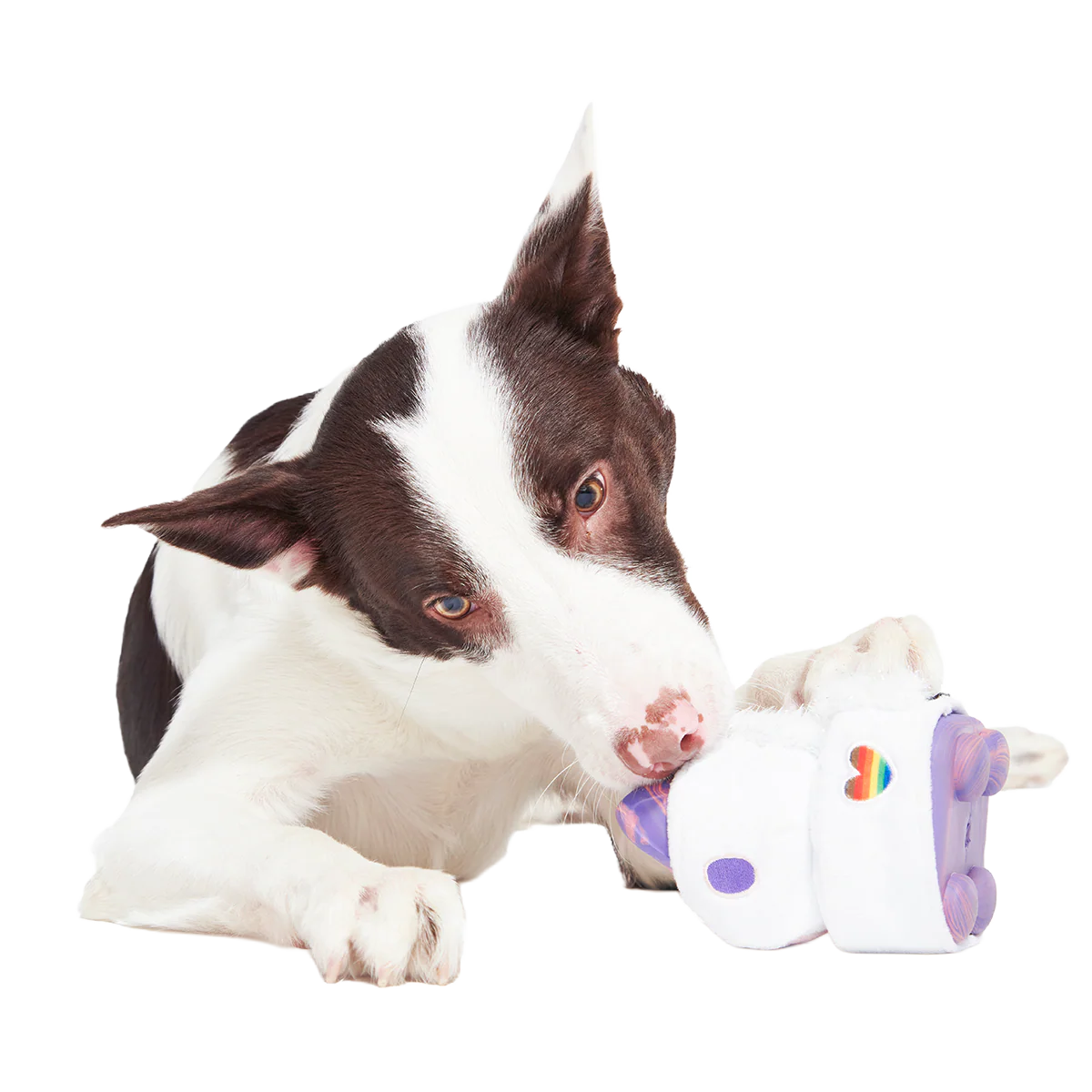 Disco Giddy Super Chewer Durable 2-in-1 Dog Toy - Image 3