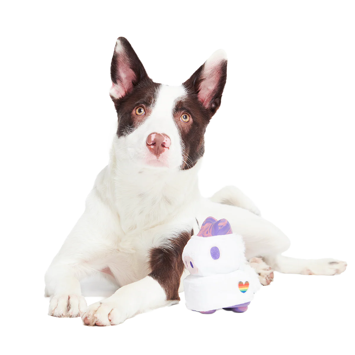Disco Giddy Super Chewer Durable 2-in-1 Dog Toy - Image 5