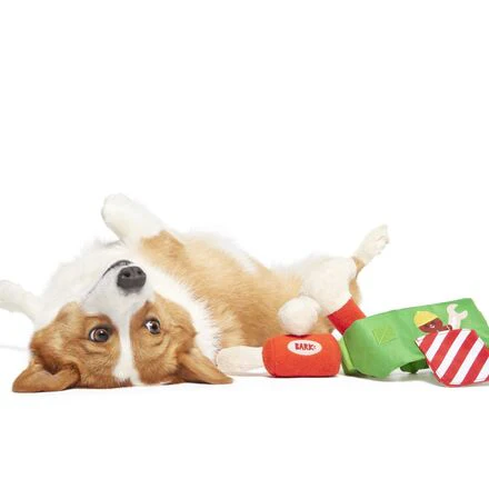 Do-It-Your-Elf Toolbelt Wearable Multipart Plush Tug Dog Toy - Image 6