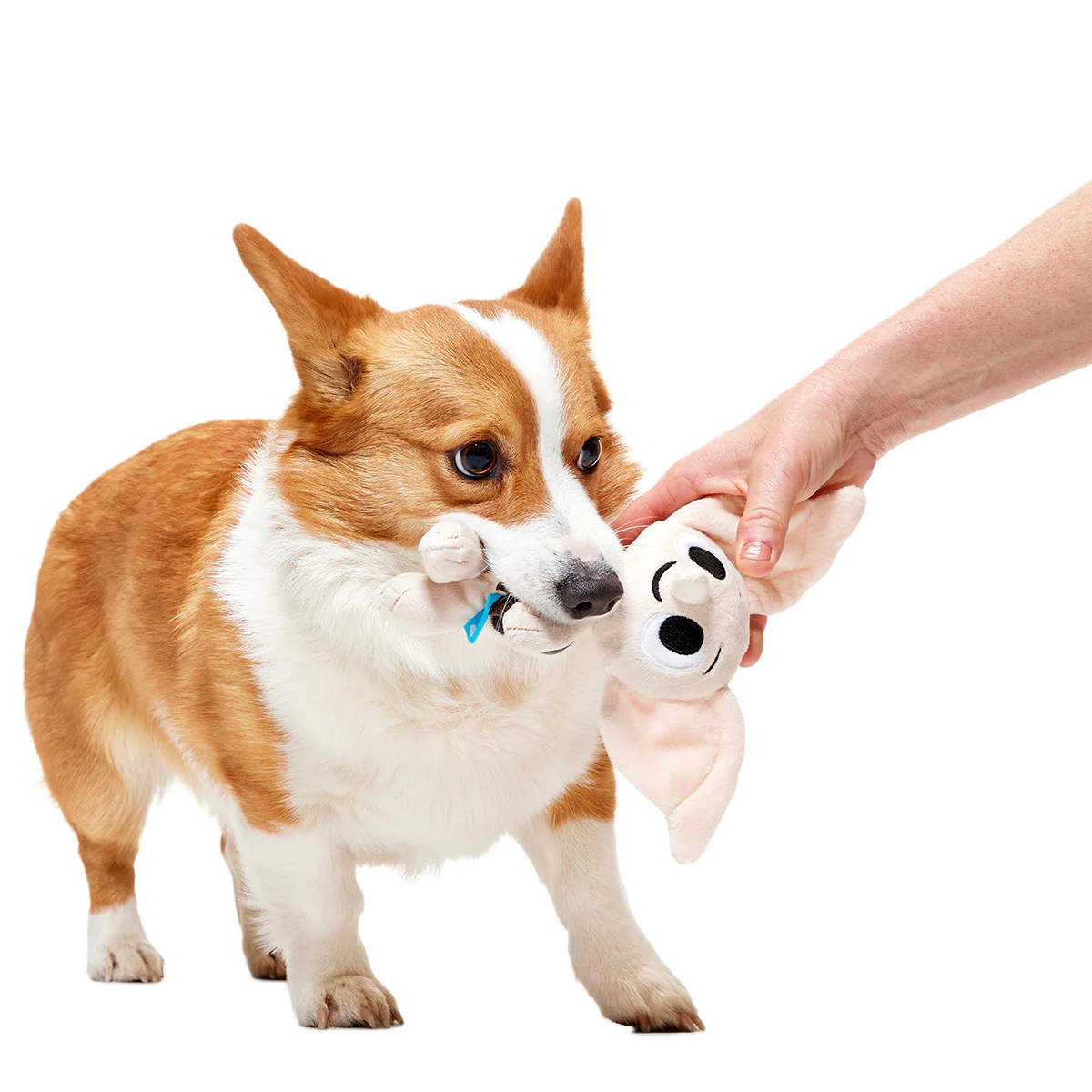 Dobby™ Plush 2-in-1 + Tug Dog Toy - Image 3