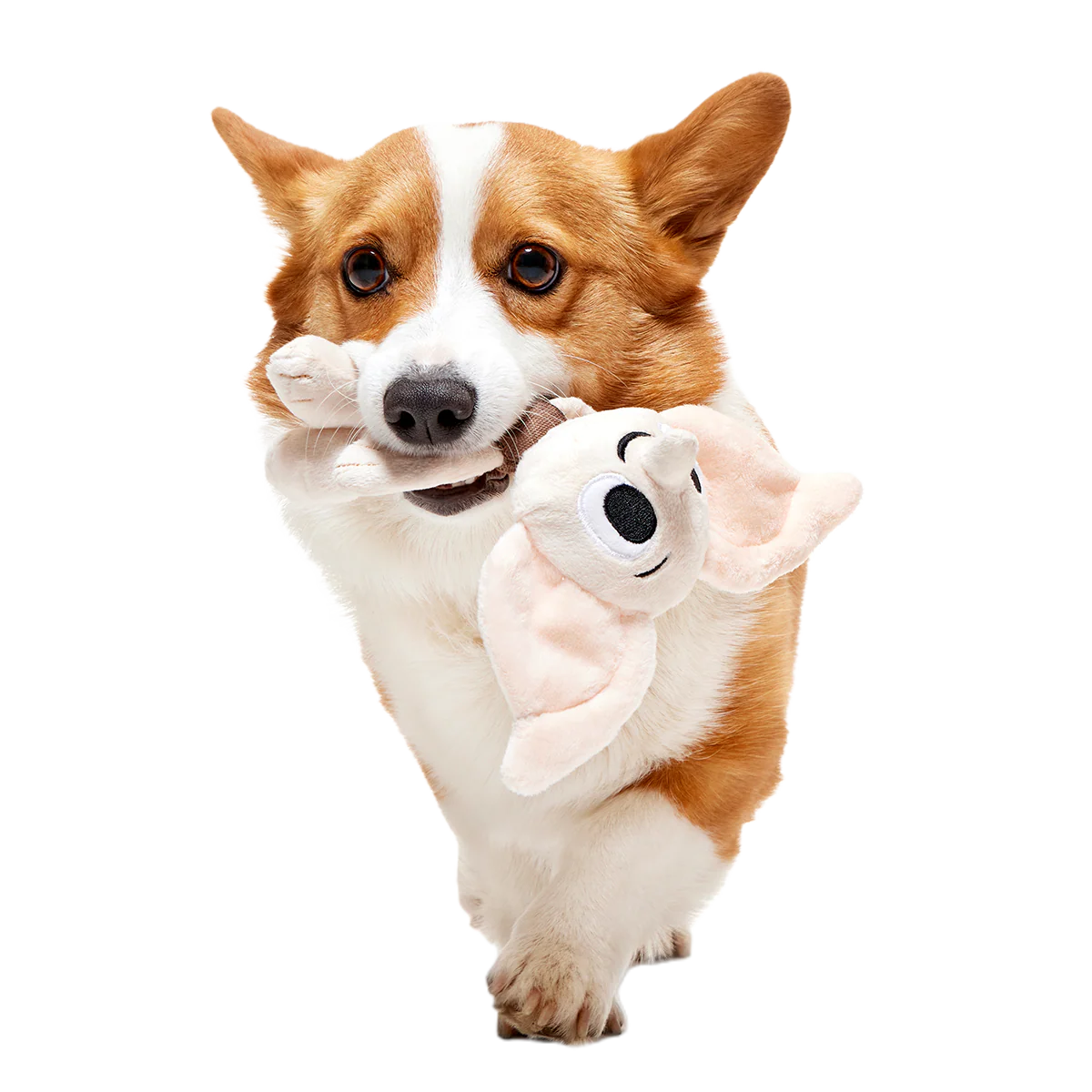 Dobby™ Plush 2-in-1 + Tug Dog Toy - Image 4