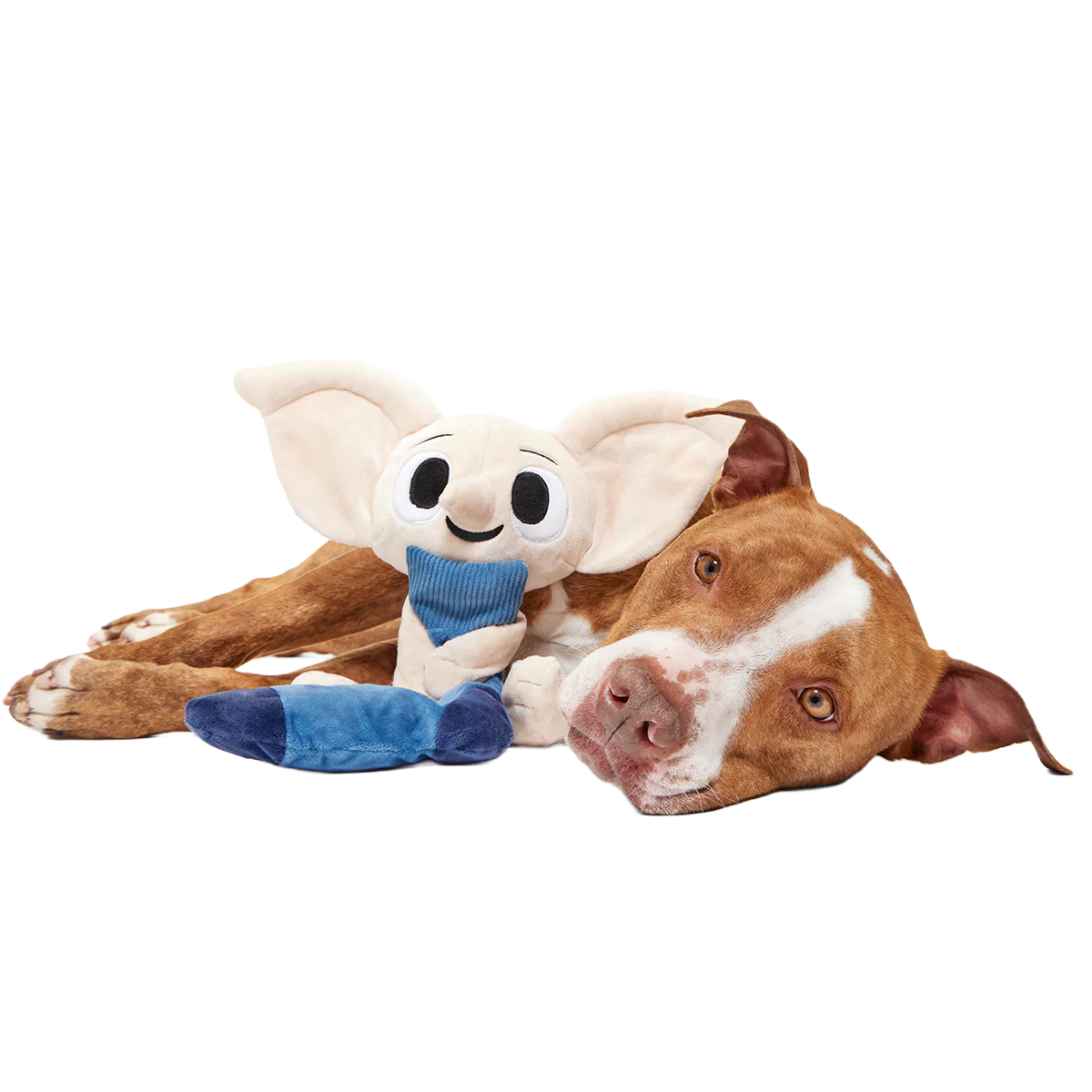 Dobby™ Plush 2-in-1 + Tug Dog Toy - Image 5