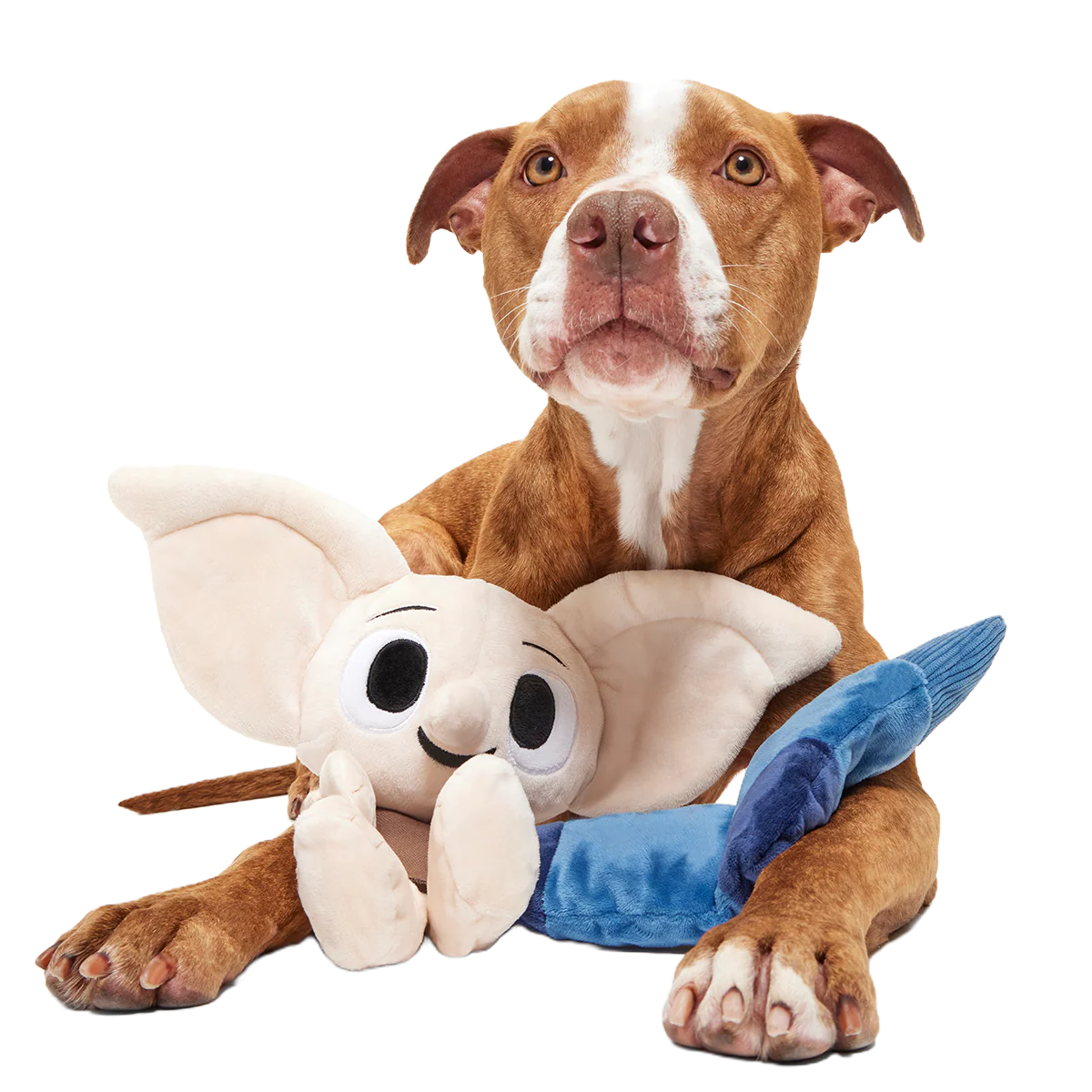 Dobby™ Plush 2-in-1 + Tug Dog Toy - Image 6
