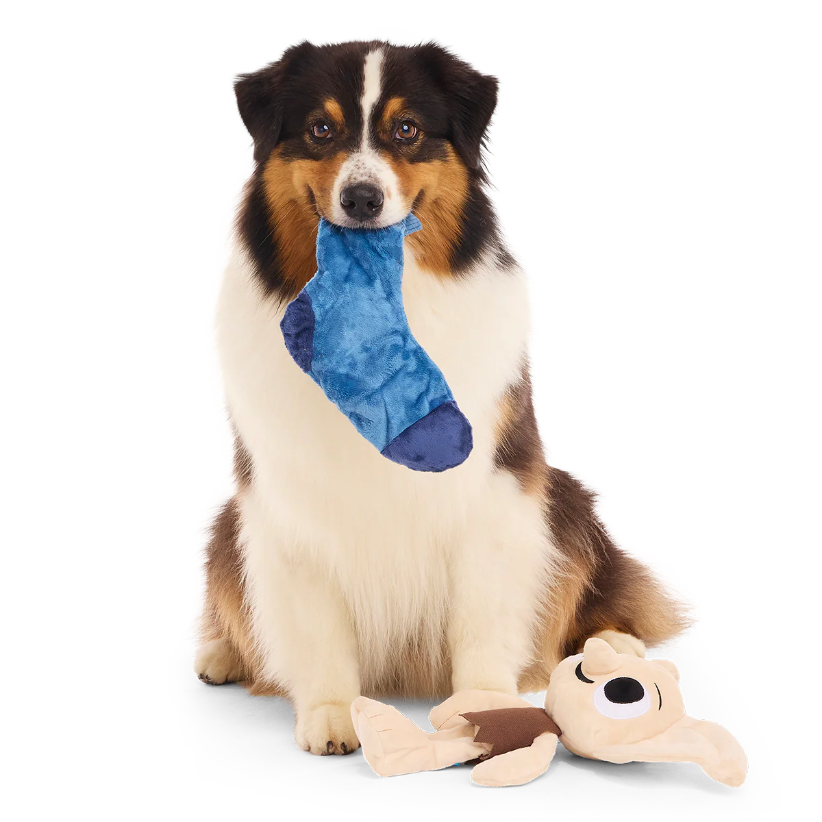Dobby™ Plush 2-in-1 + Tug Dog Toy - Image 7