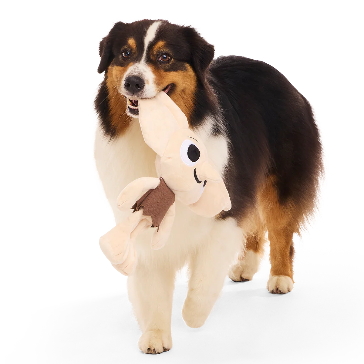 Dobby™ Plush 2-in-1 + Tug Dog Toy - Image 8