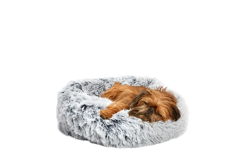 Dog Bed - Image 5