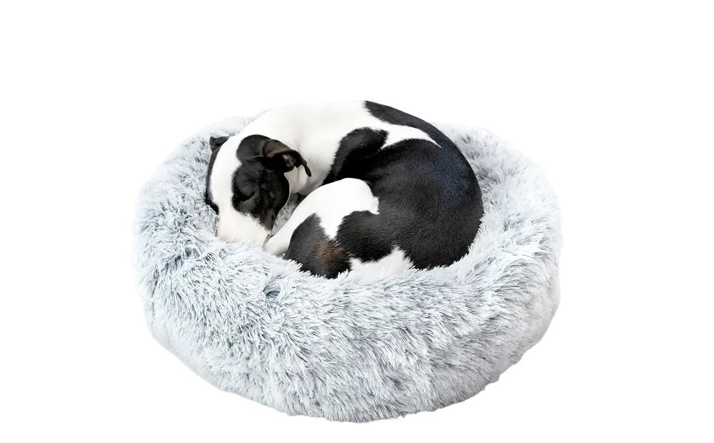 Dog Bed - Image 6