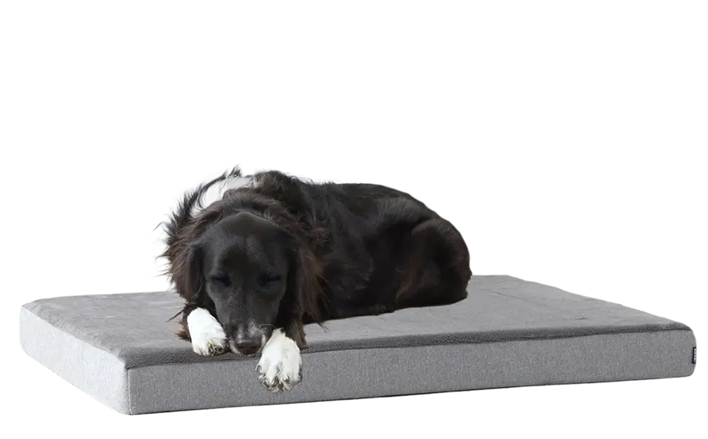 Dog Bed - Image 15