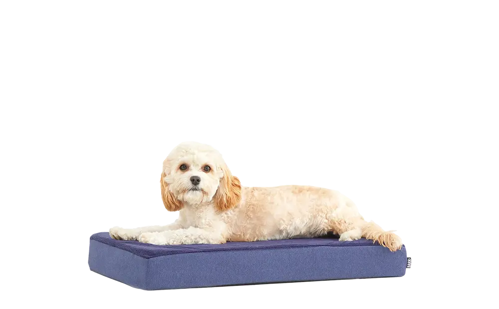 Dog Bed - Image 11