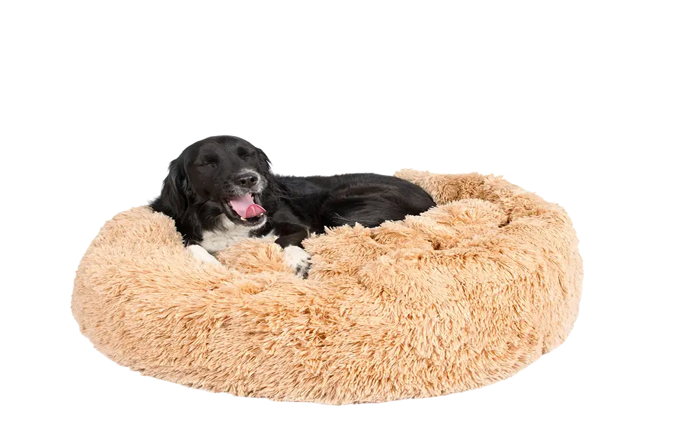 Dog Bed - Image 2
