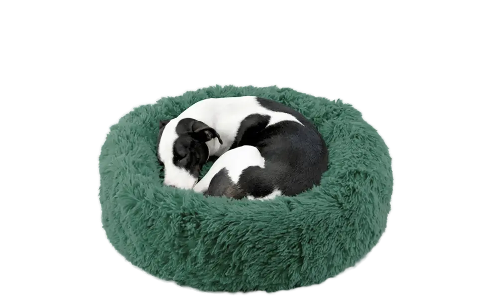 Dog Bed - Image 13