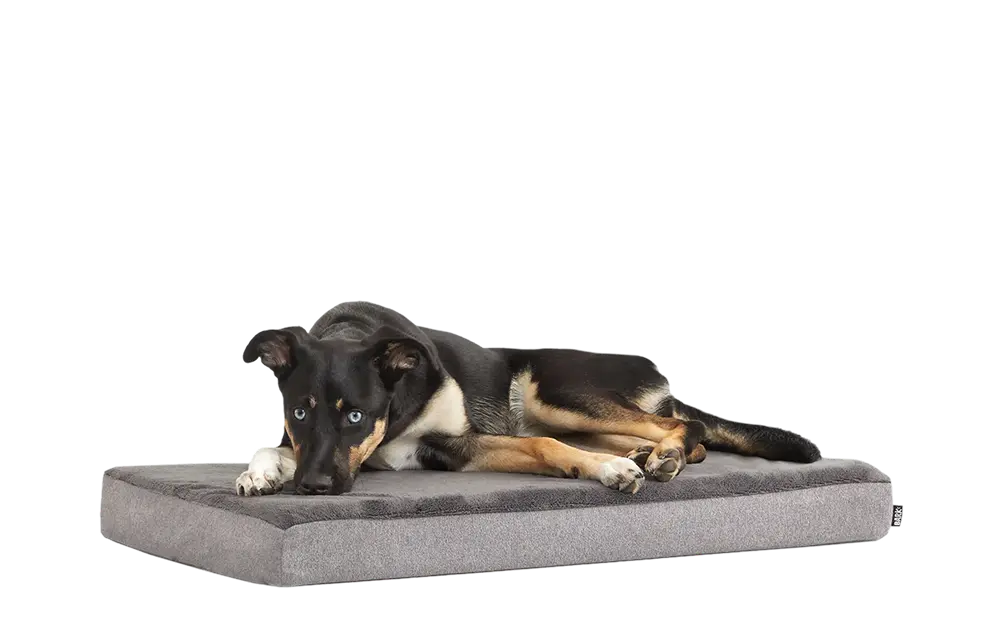 Dog Bed - Image 10