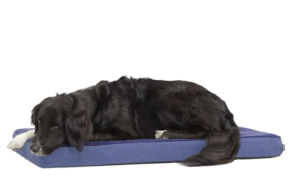 Dog Bed - Image 8