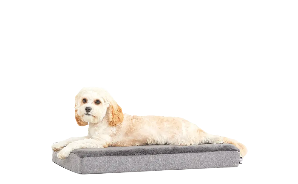 Dog Bed - Image 9