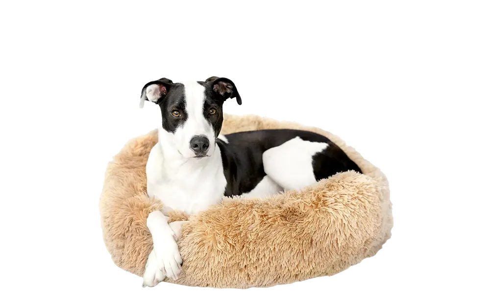 Dog Bed - Image 3