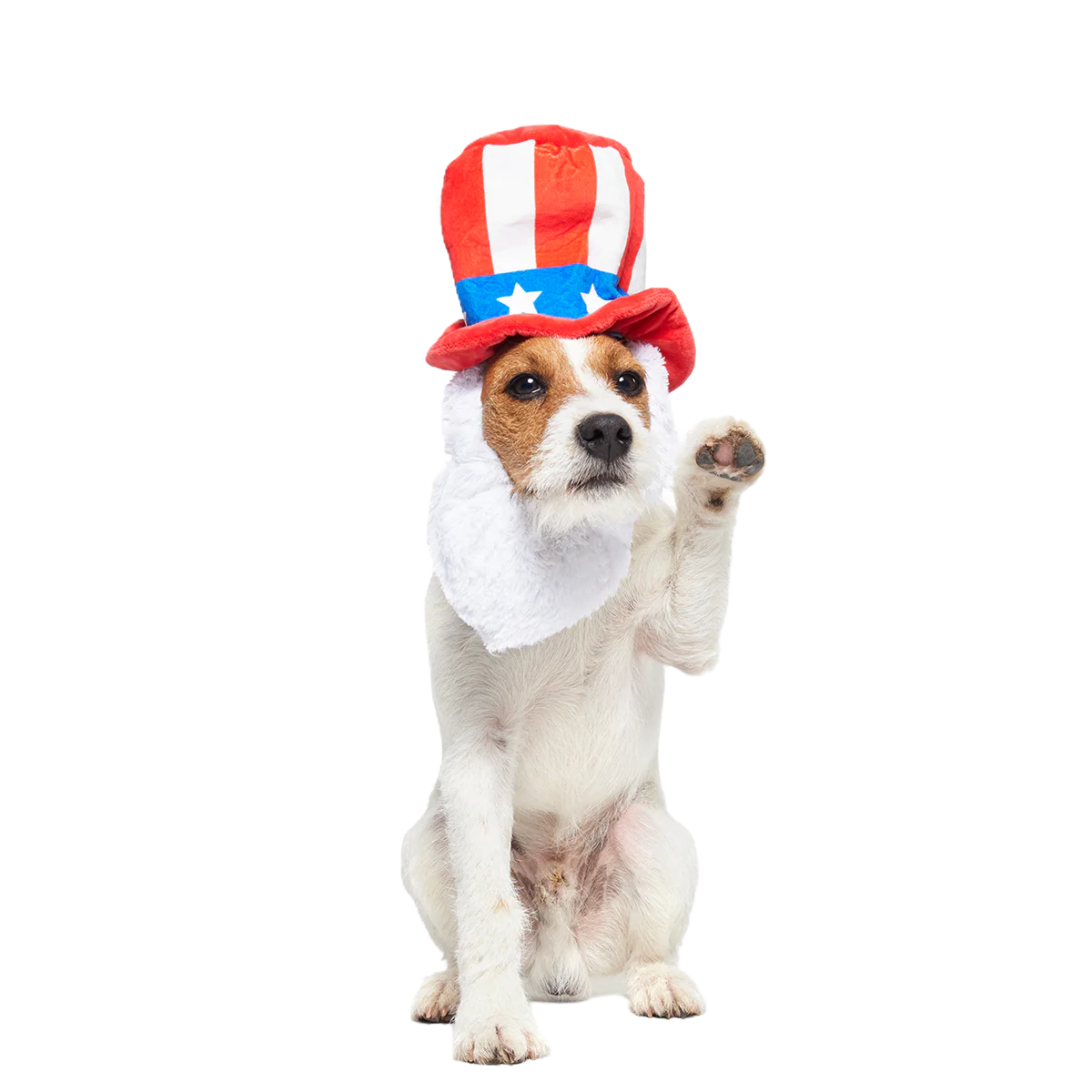 Dog Bless America Plush Wearable Tug Dog Toy - Image 3