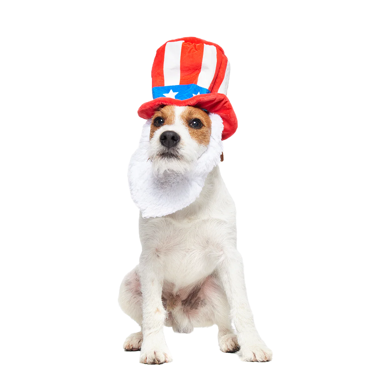 Dog Bless America Plush Wearable Tug Dog Toy - Image 4