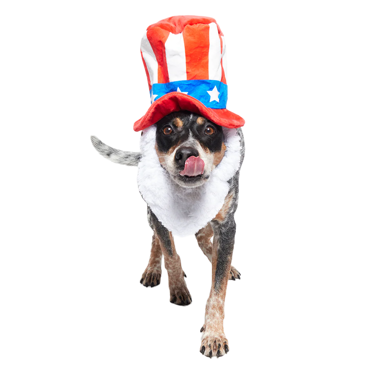 Dog Bless America Plush Wearable Tug Dog Toy - Image 5