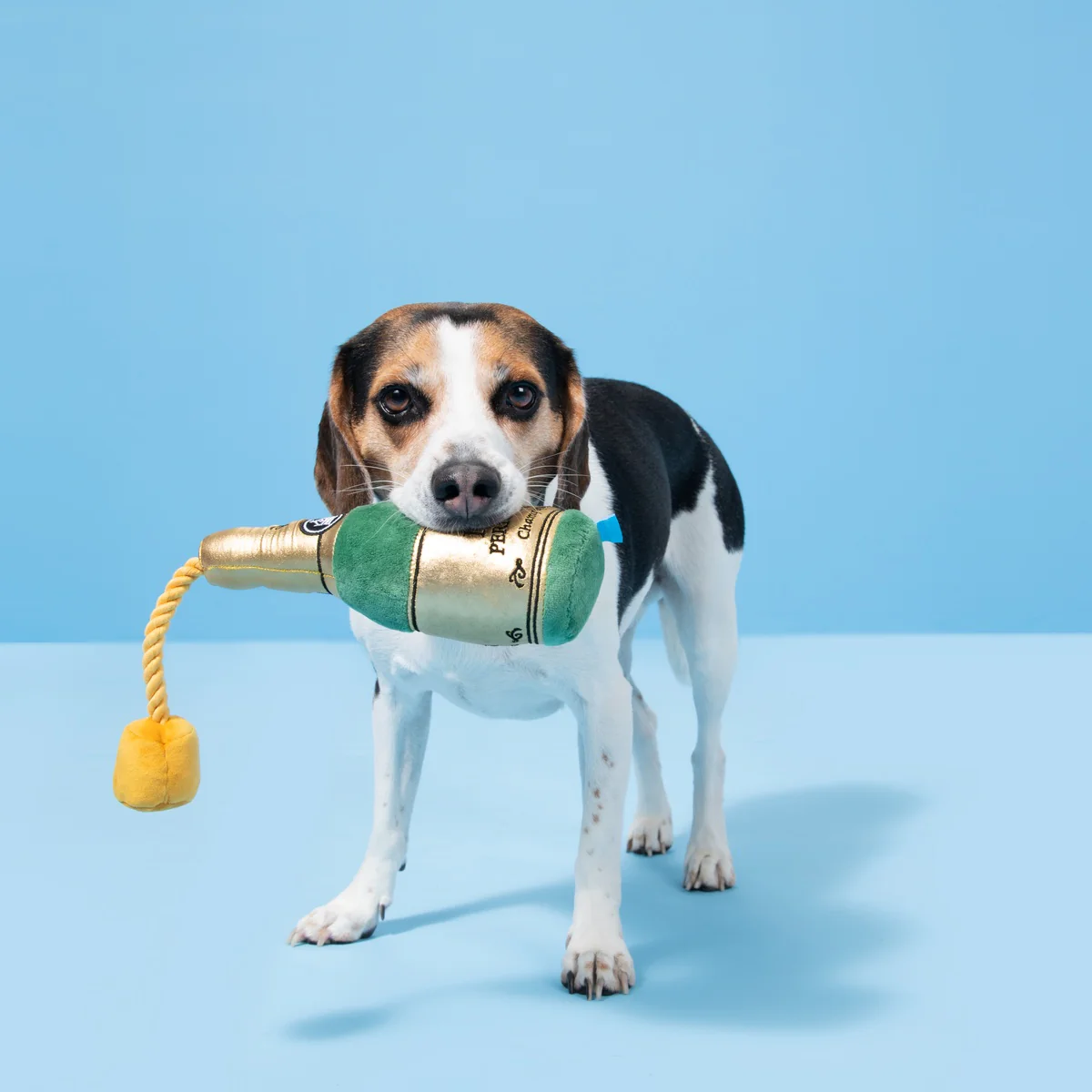 Dog Perignon Plush Tug Dog Toy - Image 2